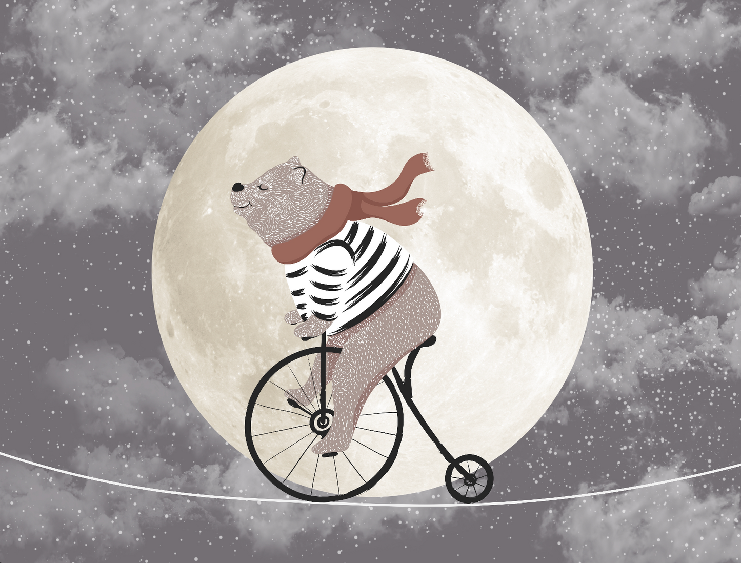 Moonlight Bicycle jor-0248