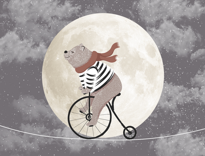 Moonlight Bicycle jor-0248