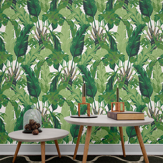 Banna Leaf peel Stick Wallpaper-jor-0040